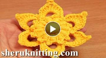 Crochet Flower Puff Stitch Center/Crochet Flower Library Free Patterns