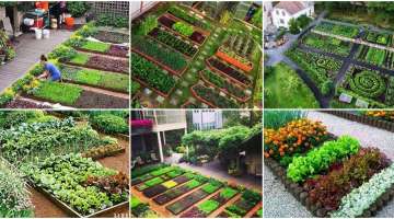 25+ Easy Small Garden Ideas to Transform Your Space
