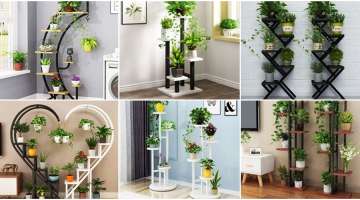 Suggestions for the Use of Plants in Interior Spaces and Green Touches