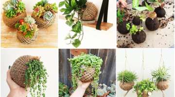 How to Make Hanging Grass Ball Kokedama | Hanging Ball Plants | Hanging Garden Ideas