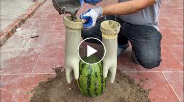 Awesome Cement Craft Tips - Flower pots Making Technique with Gloves, Watermelon, Towels and Ceme...