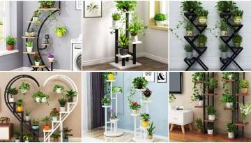 Suggestions for the Use of Plants in Interior Spaces and Green Touches